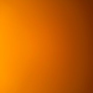 Meet your Posher, Chase